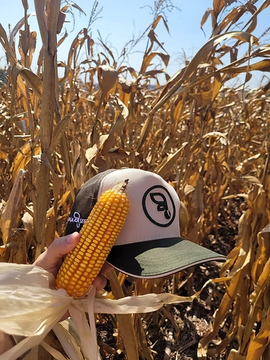 7beefa_0a5a8ebba5be4035a7c83cb87aee0390_mv2