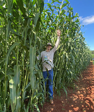 7beefa_b1d712a249f24385bf8888683469f418~mv2